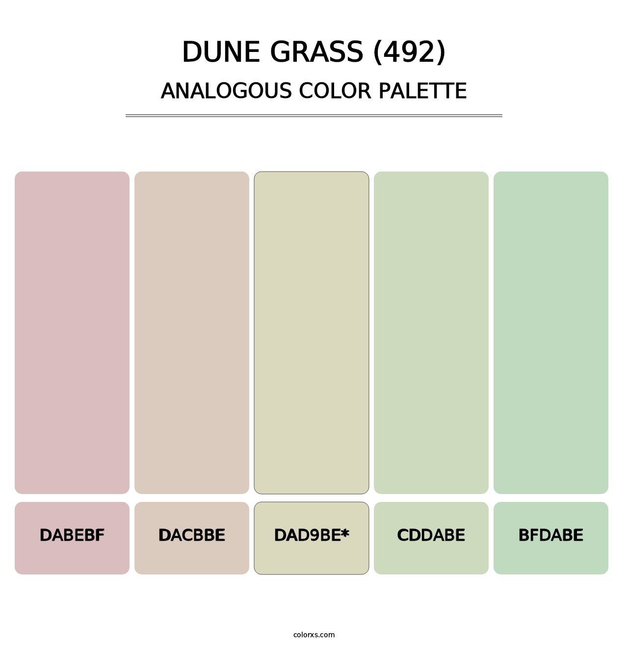 Dune Grass (492) - Analogous Color Palette