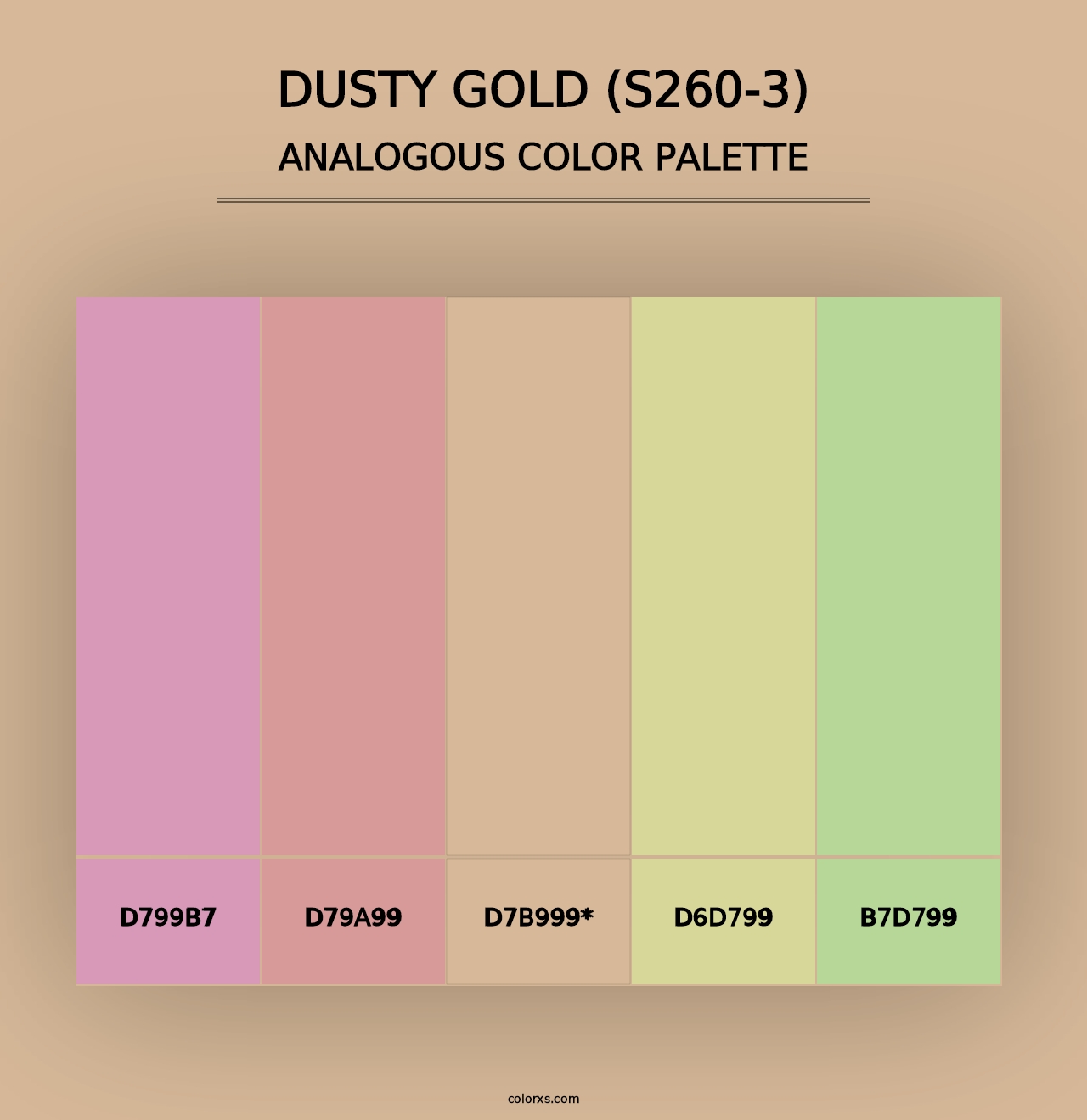 Dusty Gold (S260-3) - Analogous Color Palette