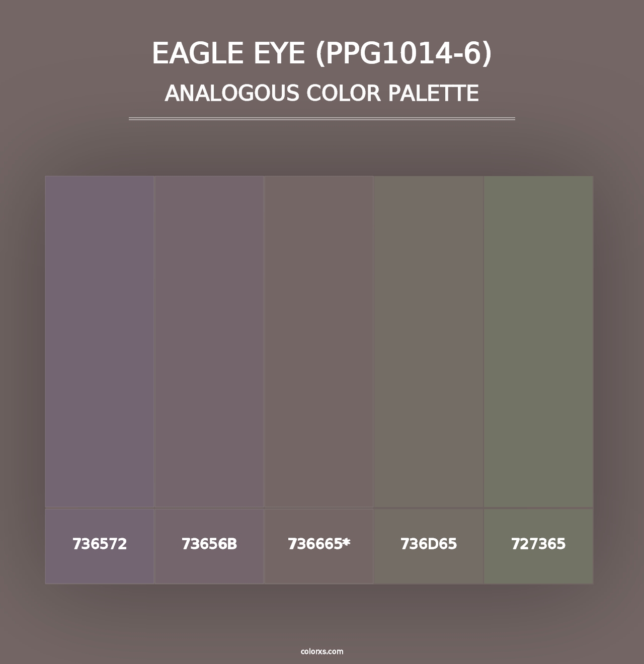 Eagle Eye (PPG1014-6) - Analogous Color Palette