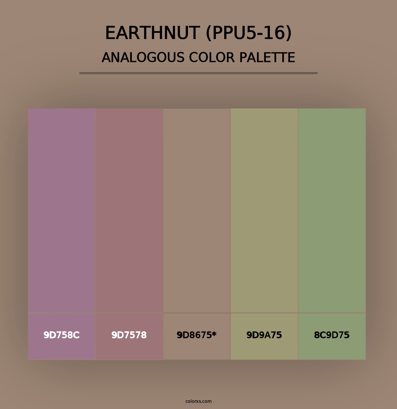 Earthnut (PPU5-16) - Analogous Color Palette