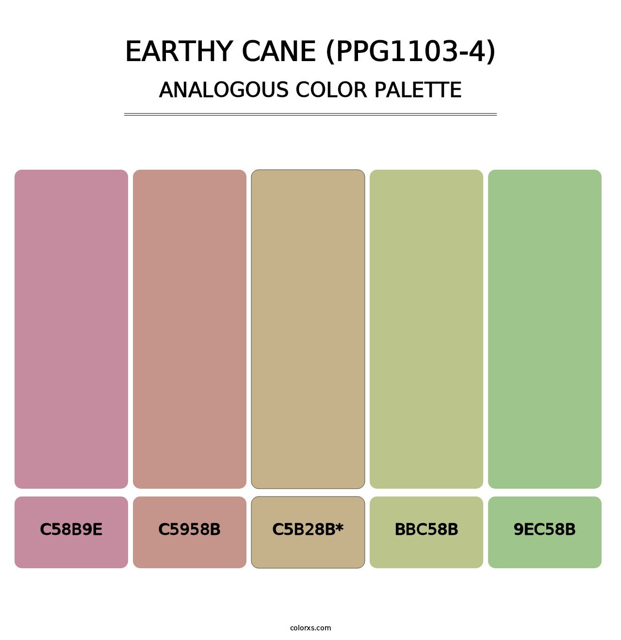 Earthy Cane (PPG1103-4) - Analogous Color Palette