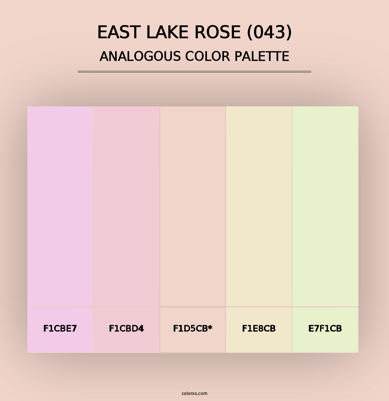 East Lake Rose (043) - Analogous Color Palette