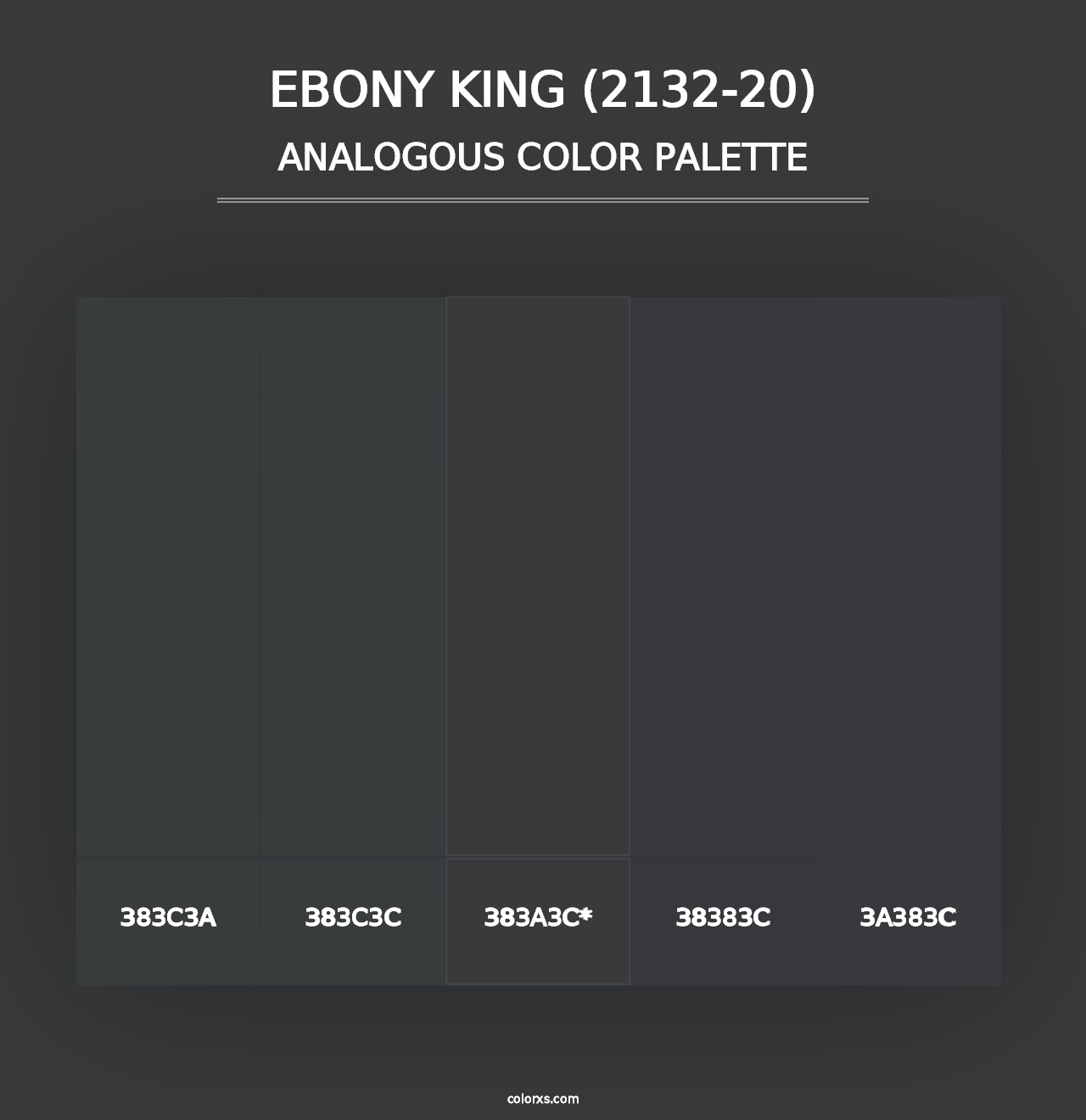 Ebony King (2132-20) - Analogous Color Palette