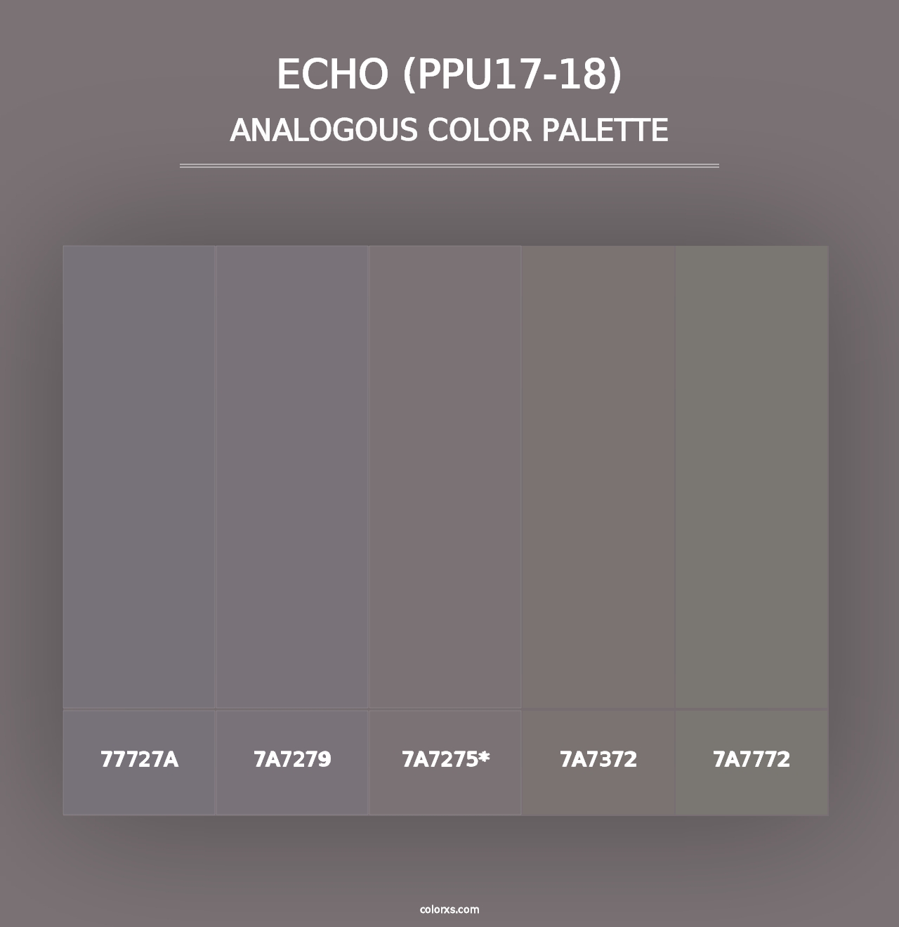 Echo (PPU17-18) - Analogous Color Palette