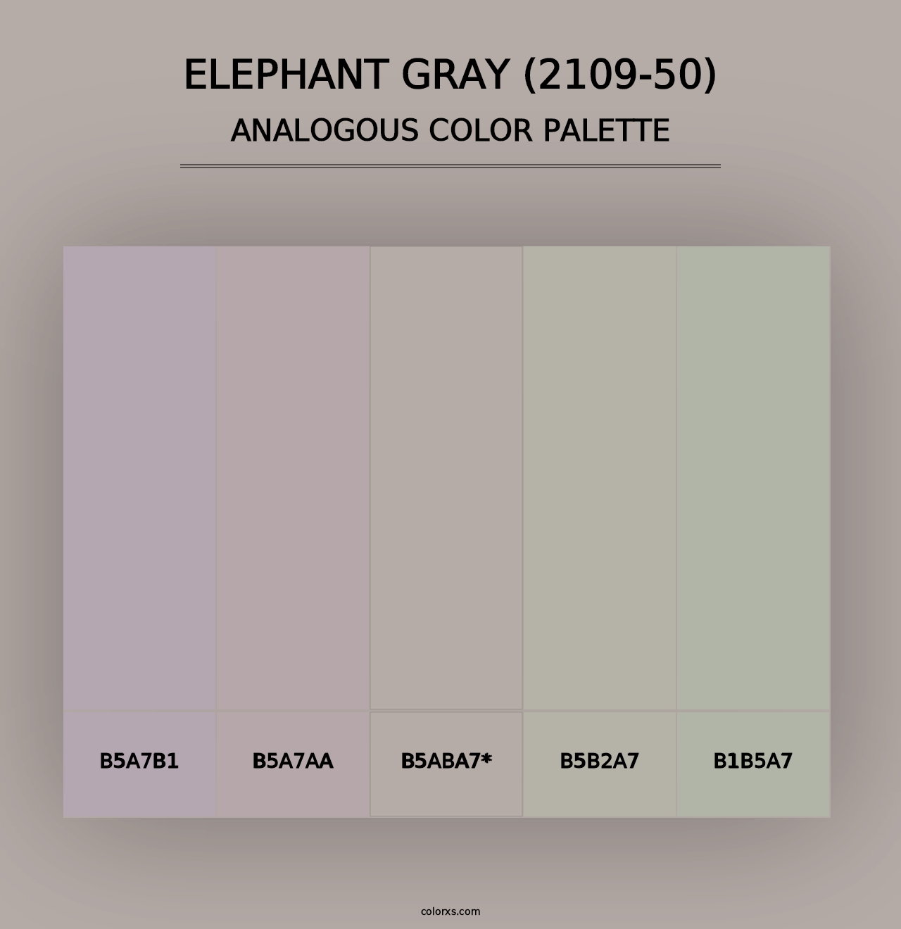 Elephant Gray (2109-50) - Analogous Color Palette