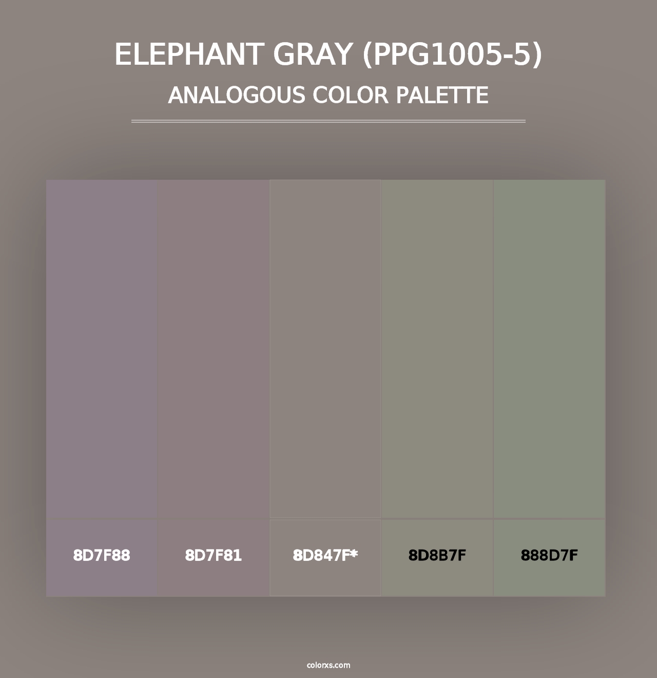 Elephant Gray (PPG1005-5) - Analogous Color Palette