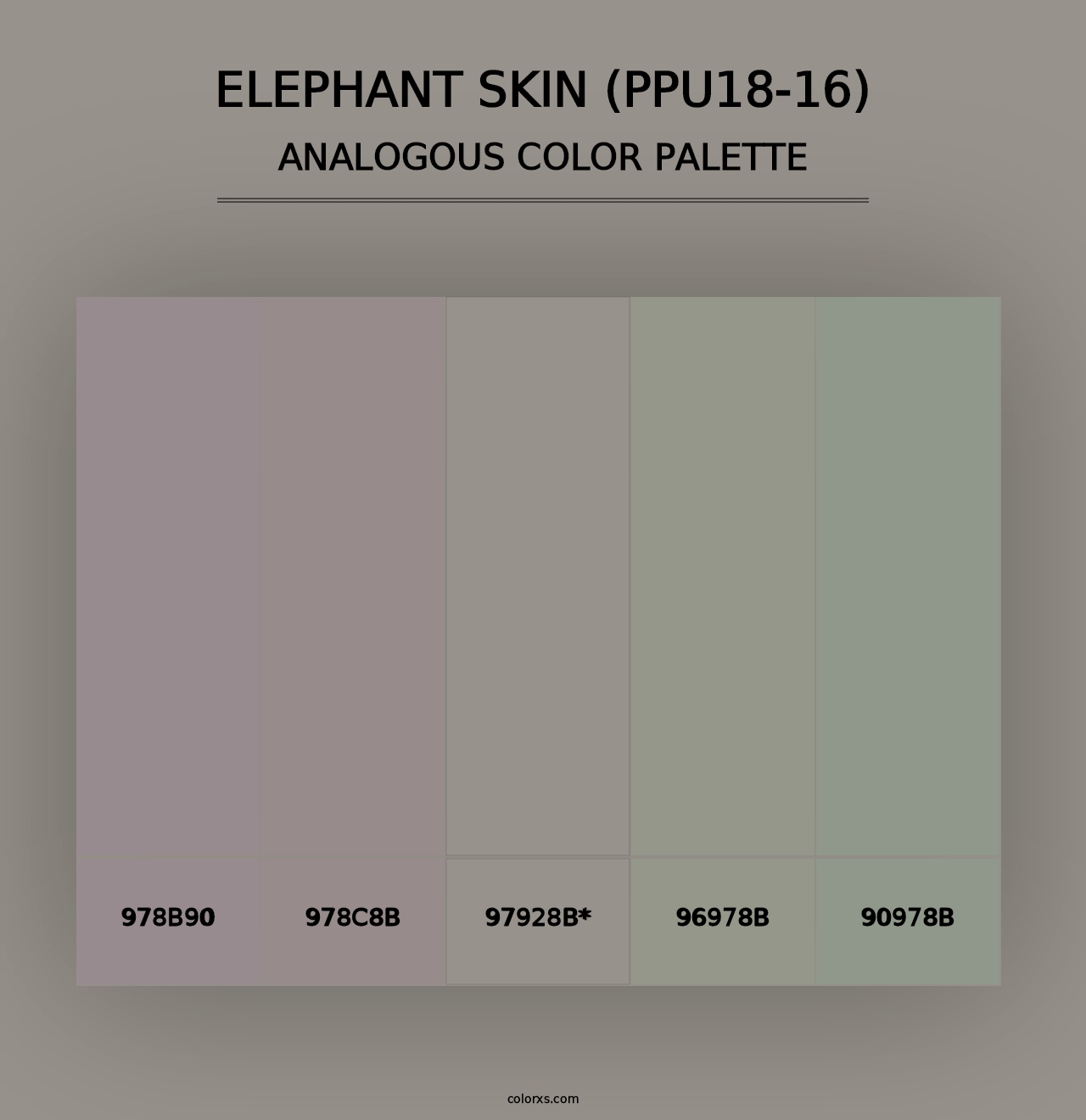 Elephant Skin (PPU18-16) - Analogous Color Palette