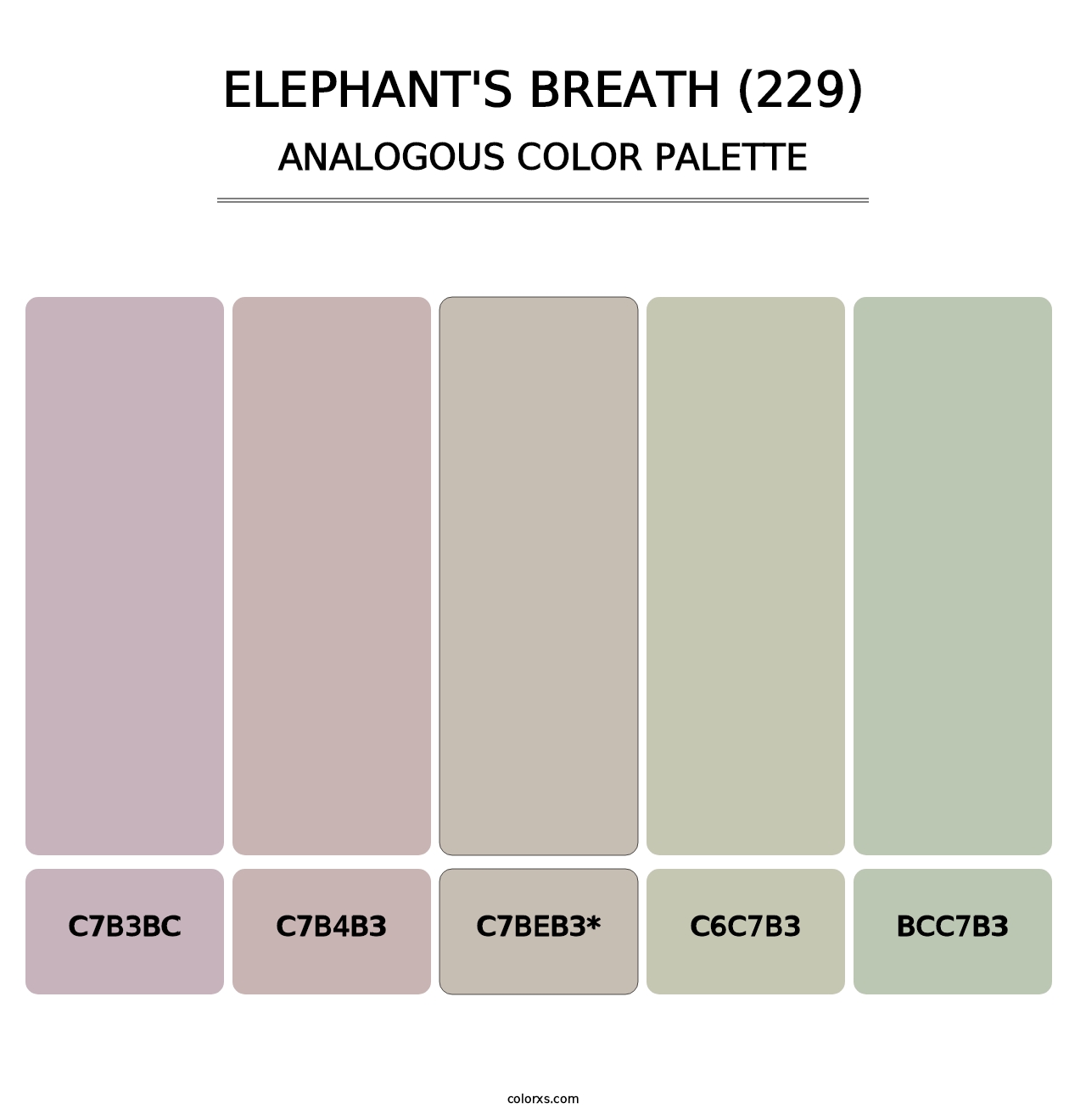 Elephant's Breath (229) - Analogous Color Palette