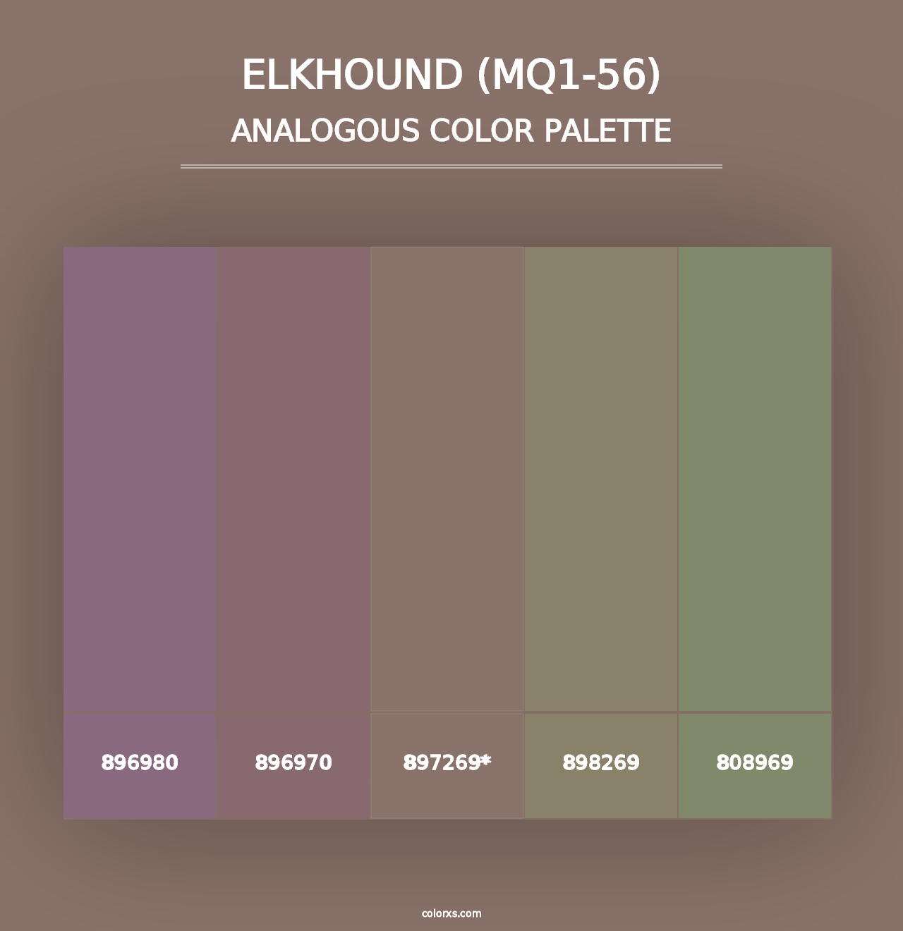 Elkhound (MQ1-56) - Analogous Color Palette