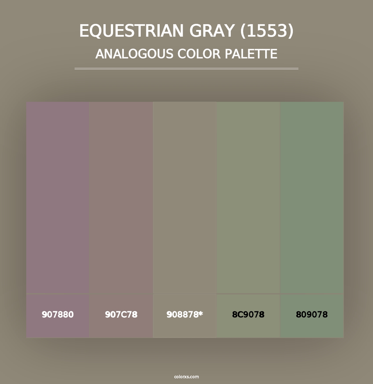 Equestrian Gray (1553) - Analogous Color Palette