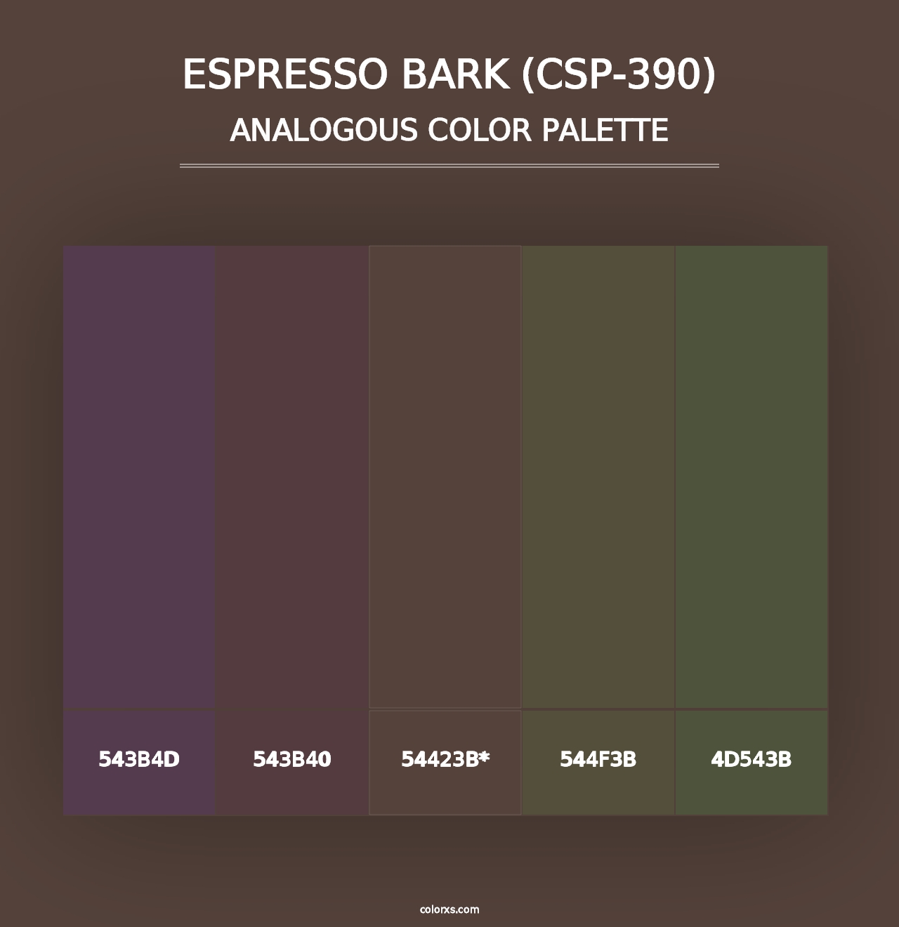 Espresso Bark (CSP-390) - Analogous Color Palette