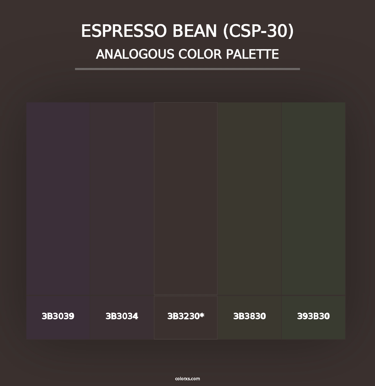 Espresso Bean (CSP-30) - Analogous Color Palette