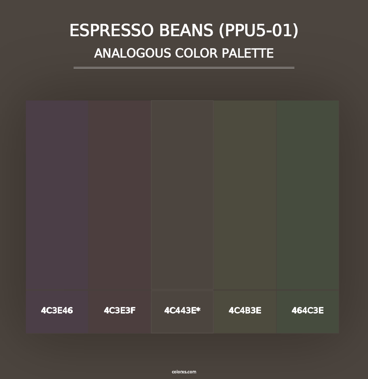 Espresso Beans (PPU5-01) - Analogous Color Palette