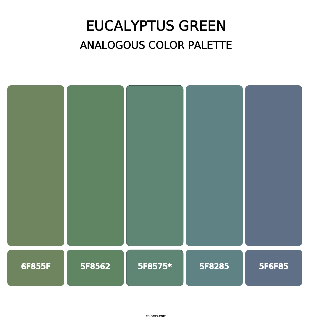 Eucalyptus Green - Analogous Color Palette