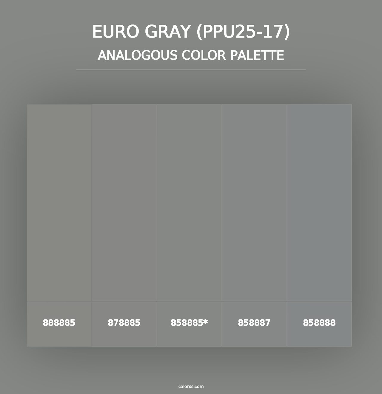 Euro Gray (PPU25-17) - Analogous Color Palette