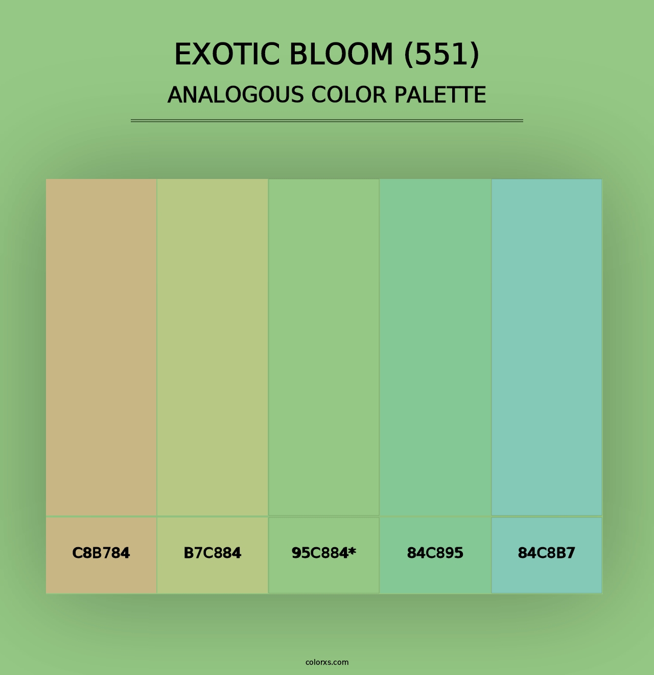 Exotic Bloom (551) - Analogous Color Palette