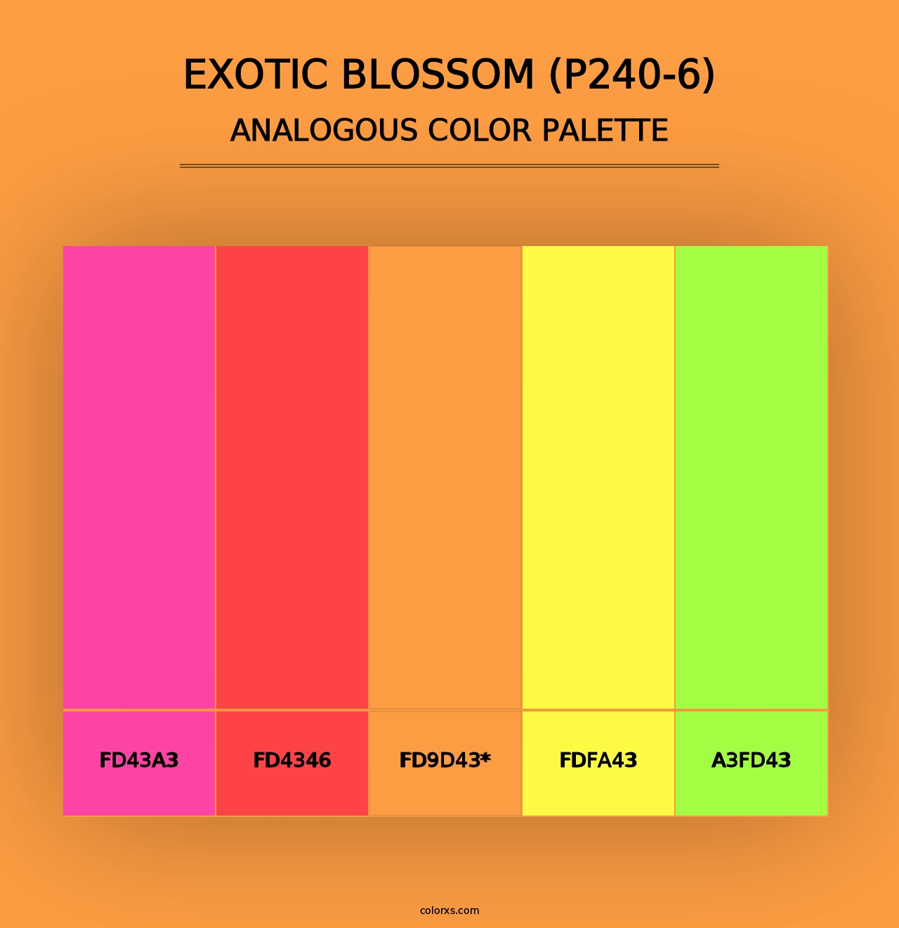 Exotic Blossom (P240-6) - Analogous Color Palette