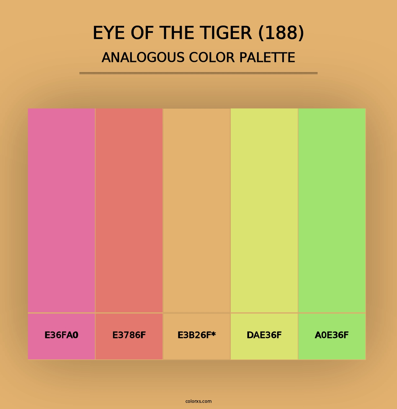 Eye of the Tiger (188) - Analogous Color Palette