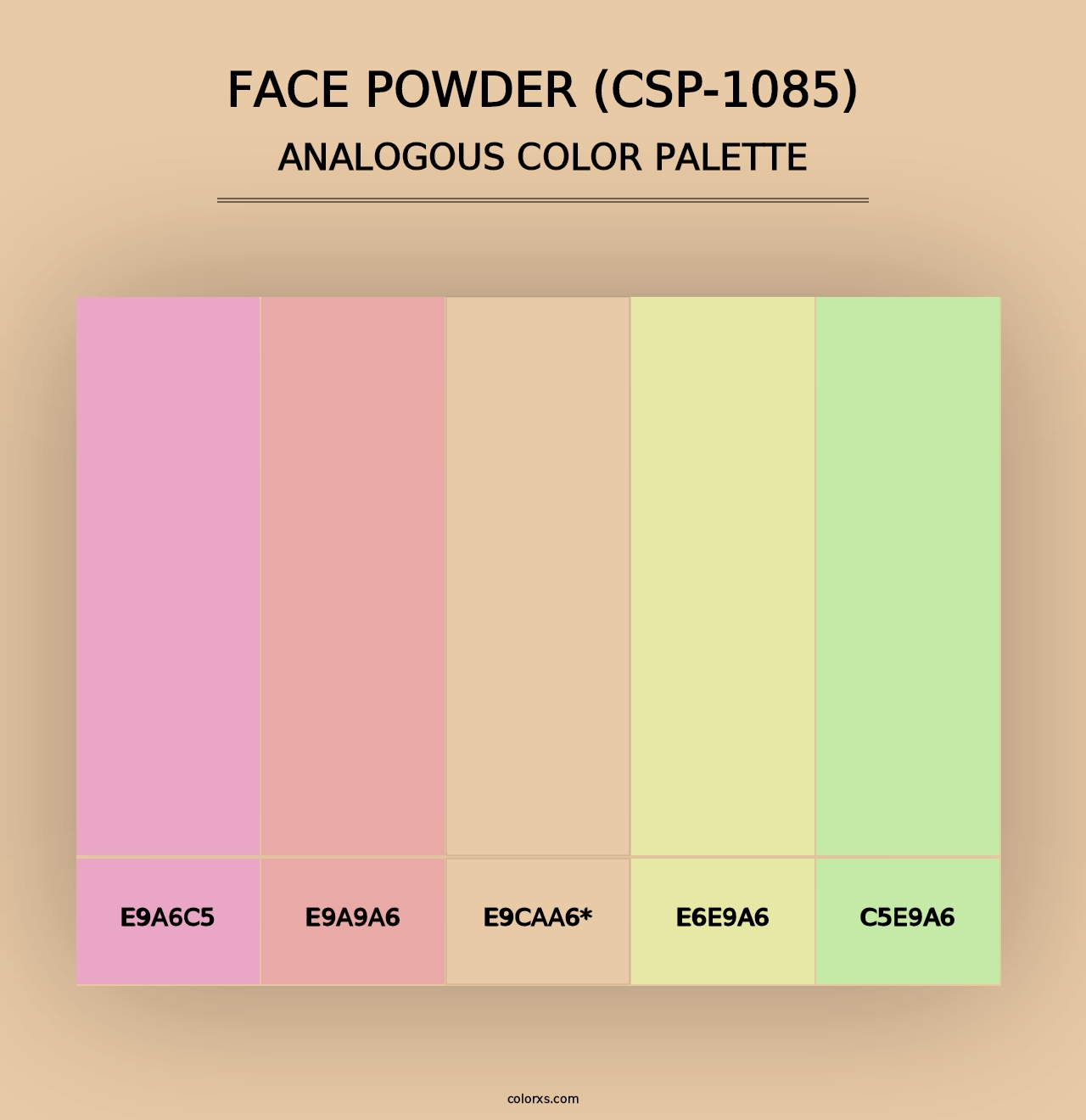 Face Powder (CSP-1085) - Analogous Color Palette