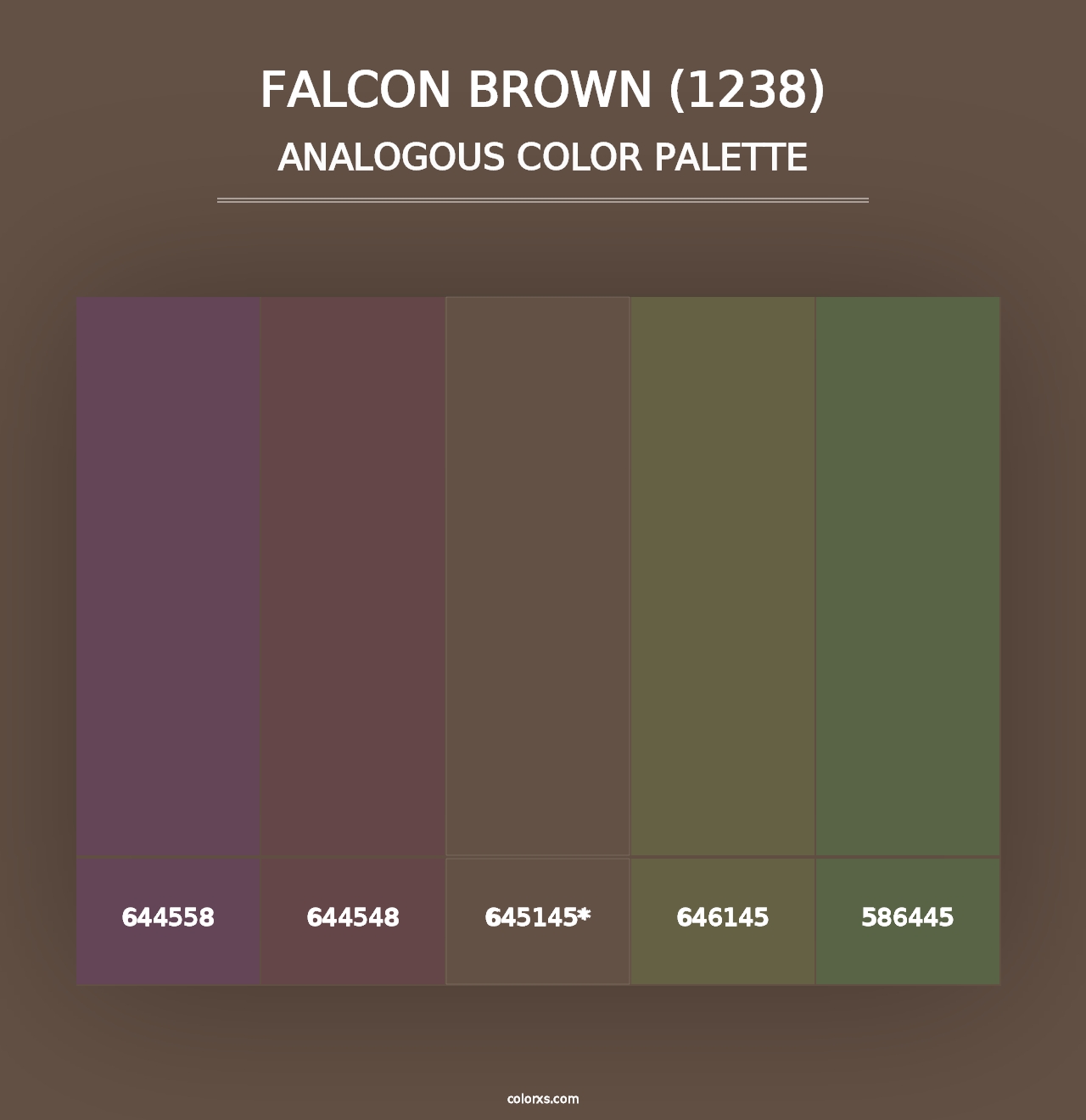 Falcon Brown (1238) - Analogous Color Palette