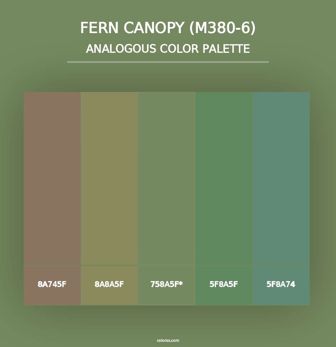 Fern Canopy (M380-6) - Analogous Color Palette