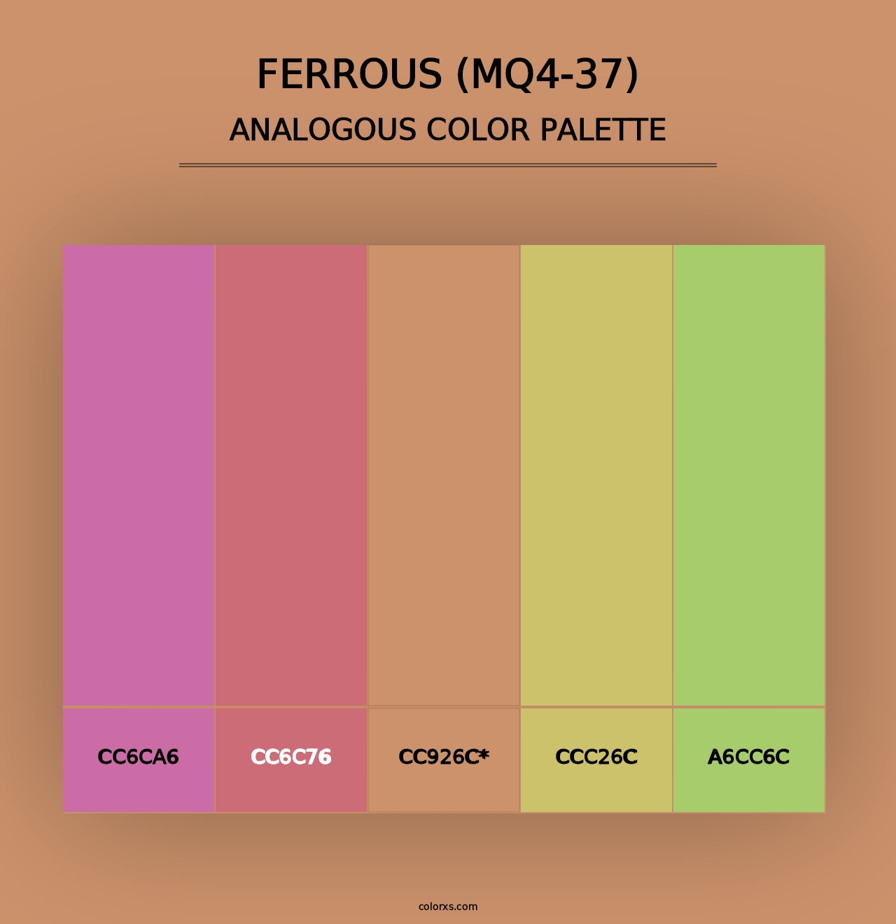 Ferrous (MQ4-37) - Analogous Color Palette