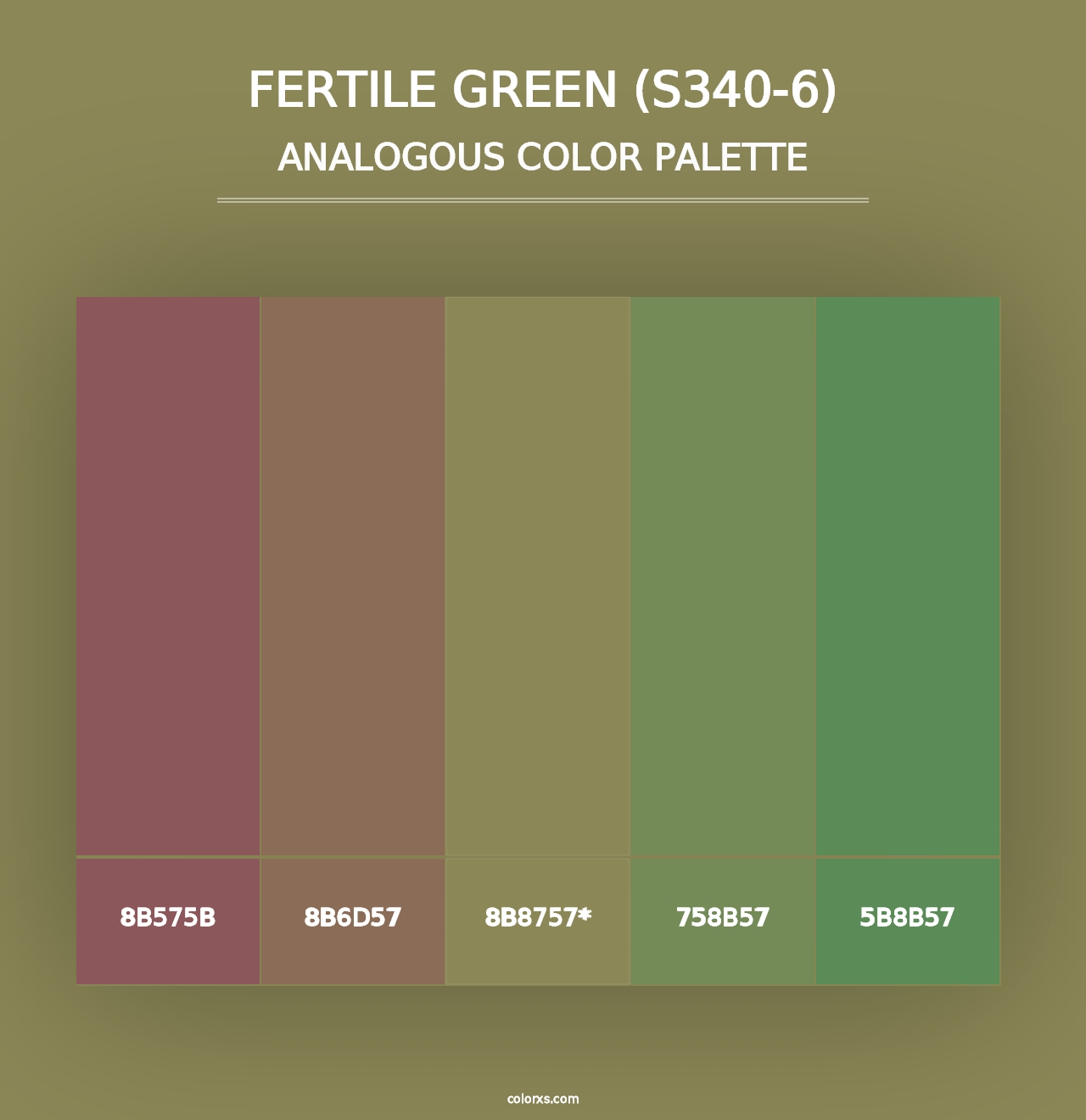 Fertile Green (S340-6) - Analogous Color Palette