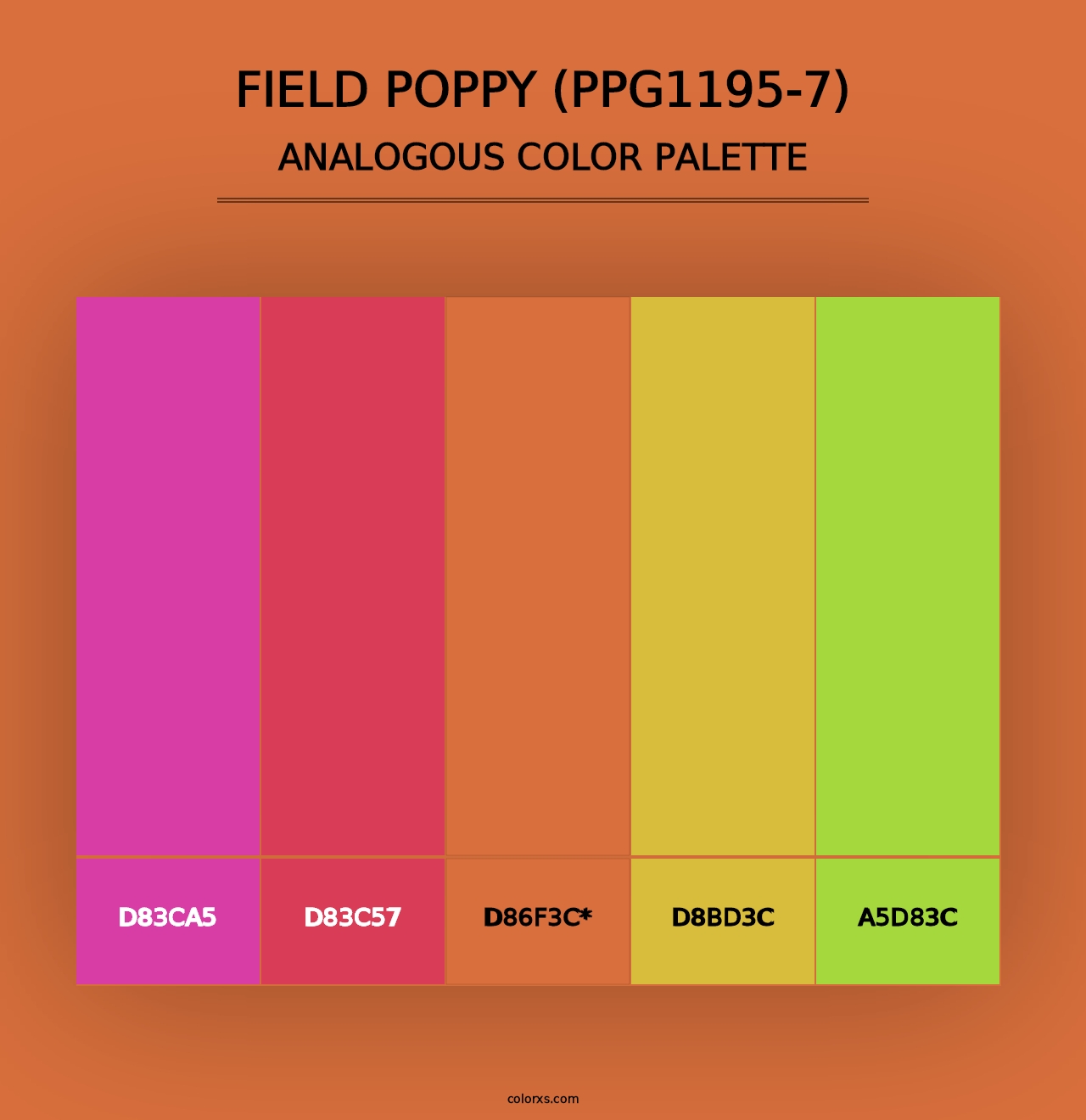 Field Poppy (PPG1195-7) - Analogous Color Palette