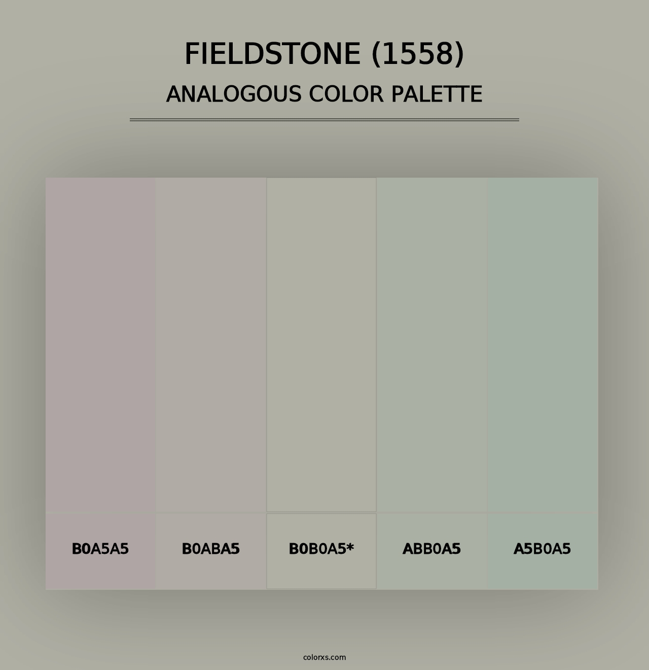 Fieldstone (1558) - Analogous Color Palette