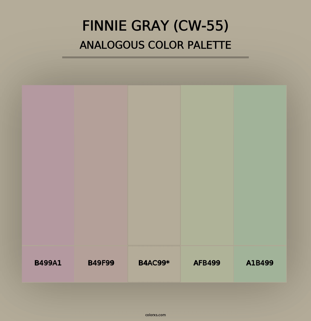 Finnie Gray (CW-55) - Analogous Color Palette