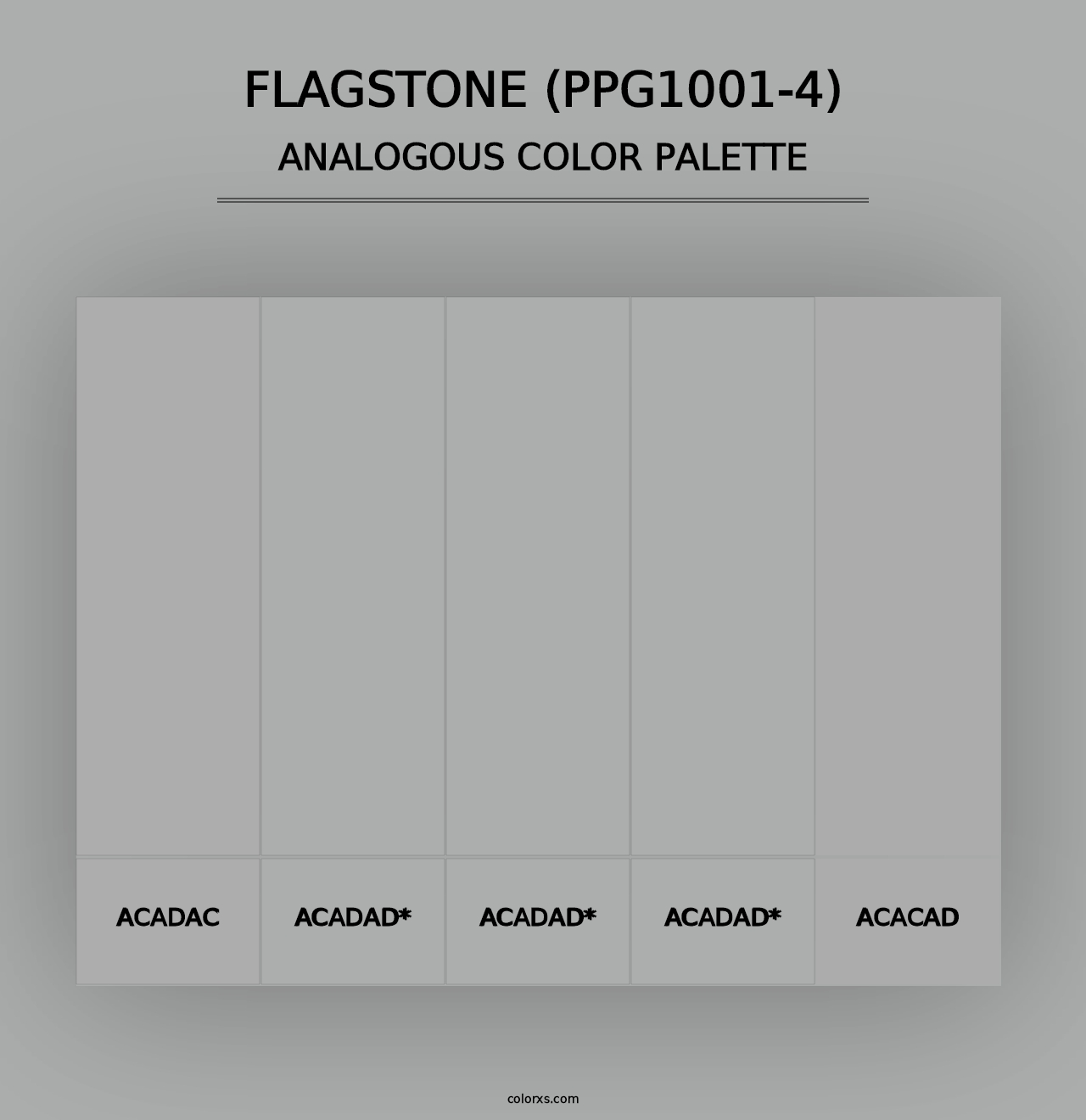 Flagstone (PPG1001-4) - Analogous Color Palette