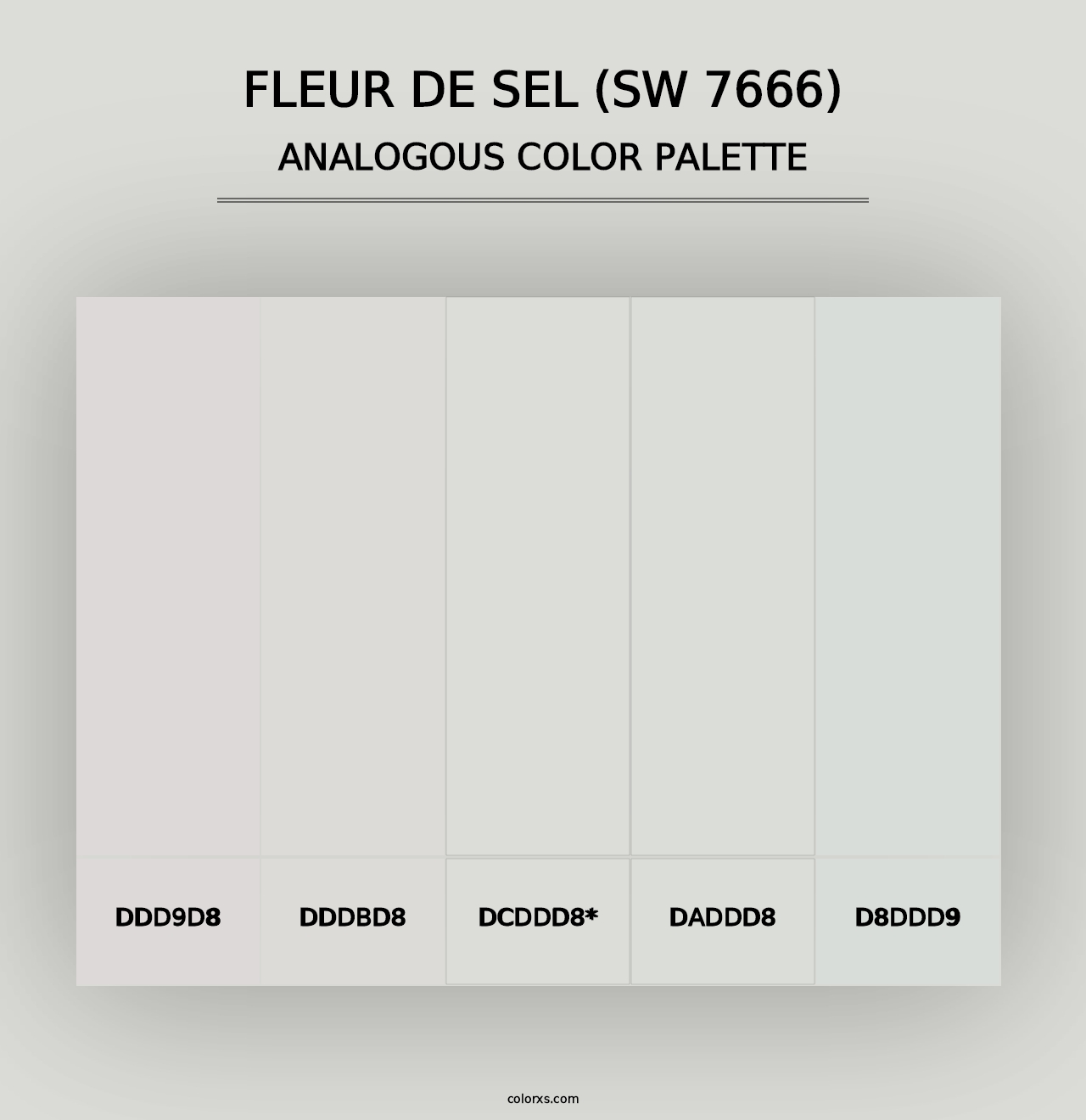 Fleur de Sel (SW 7666) - Analogous Color Palette