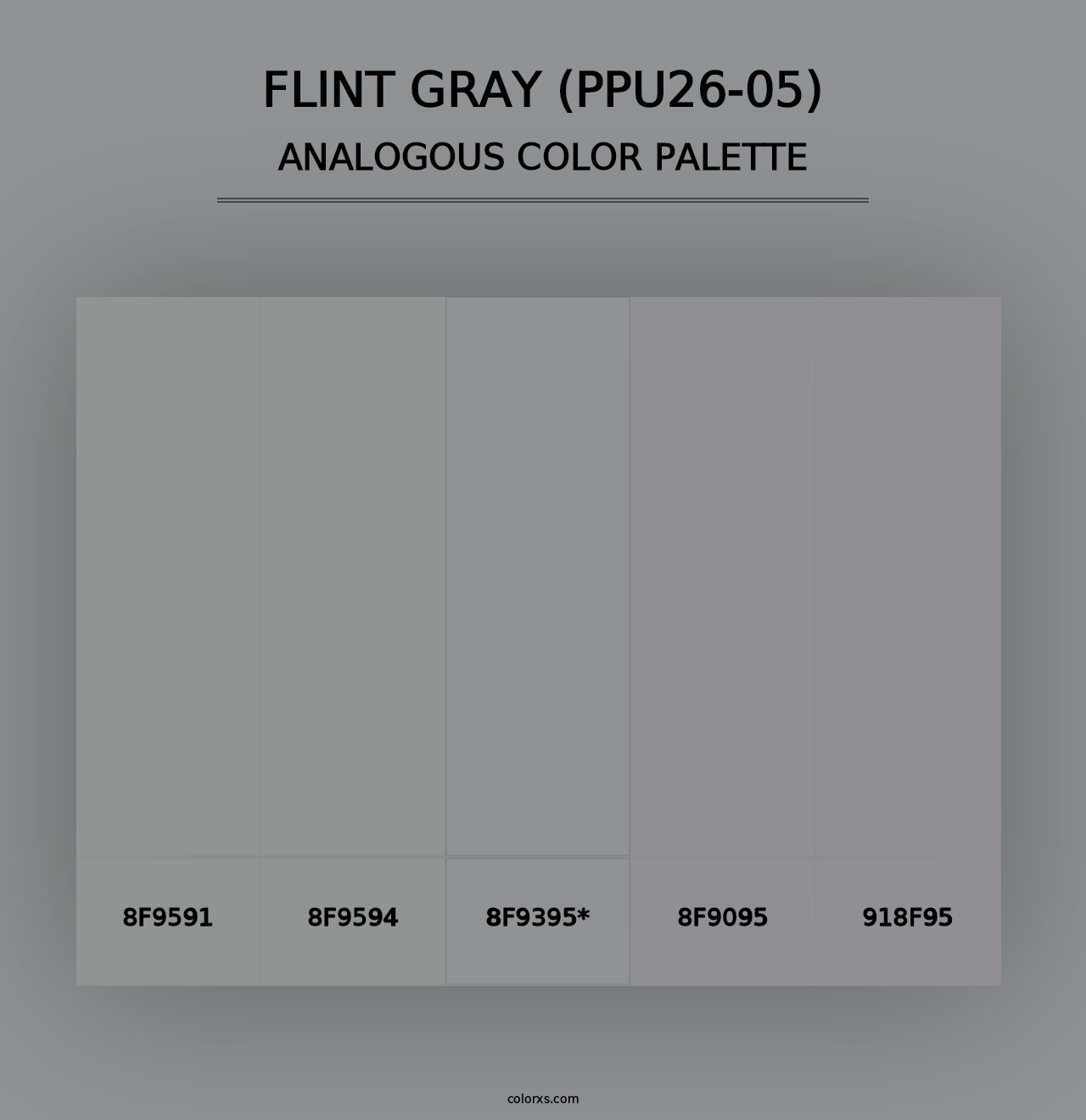 Flint Gray (PPU26-05) - Analogous Color Palette