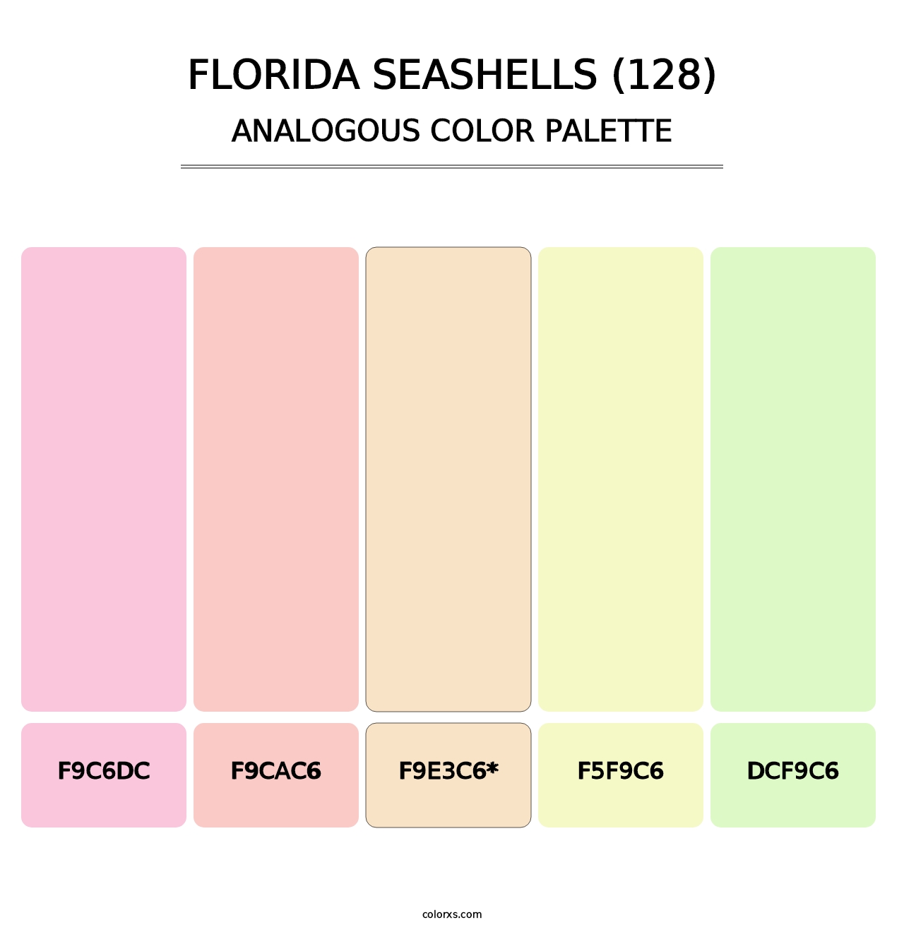 Florida Seashells (128) - Analogous Color Palette