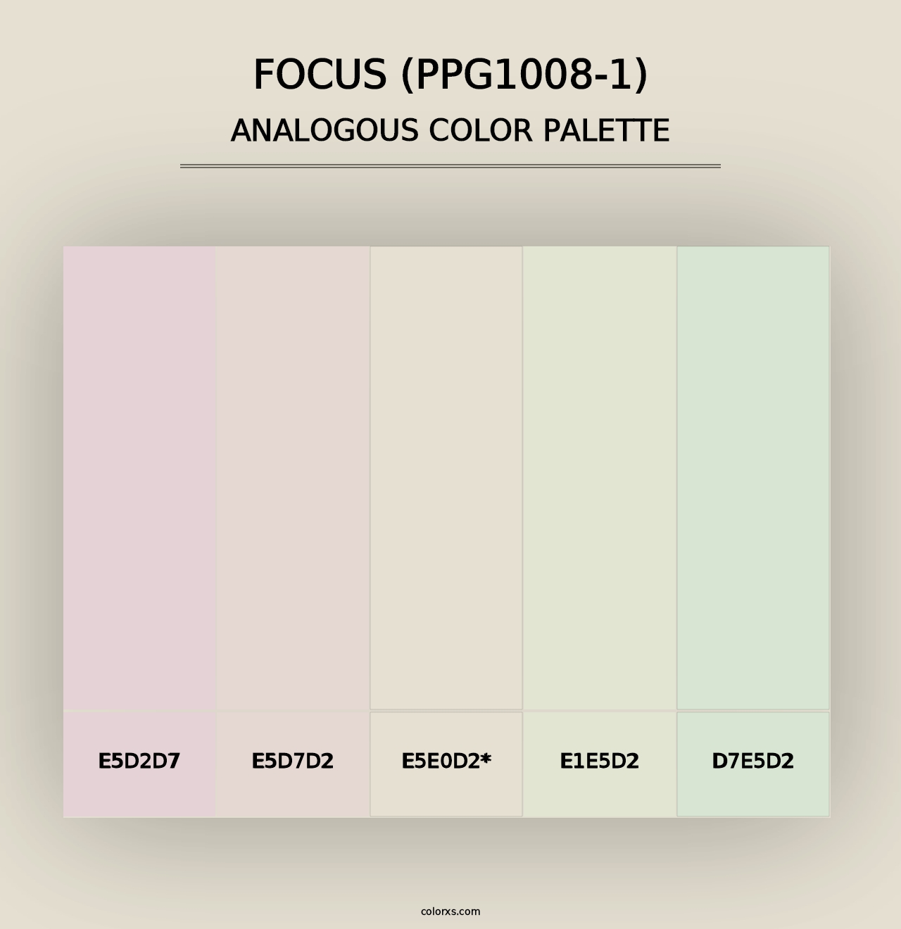 Focus (PPG1008-1) - Analogous Color Palette