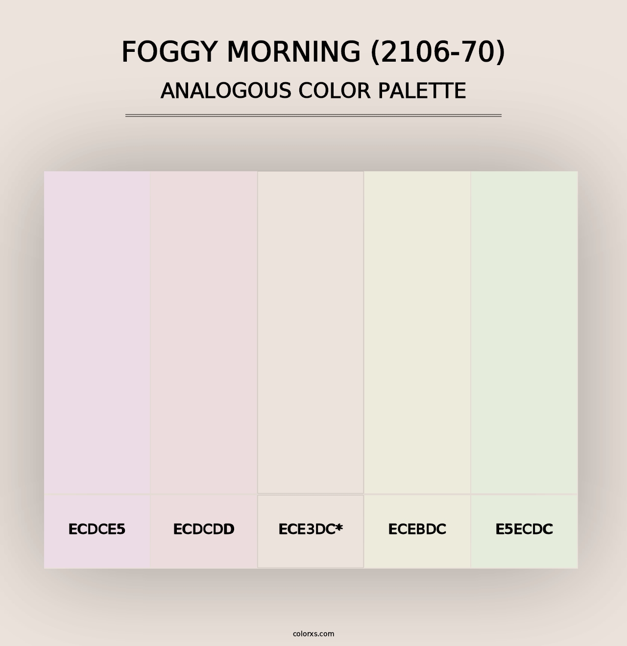 Foggy Morning (2106-70) - Analogous Color Palette