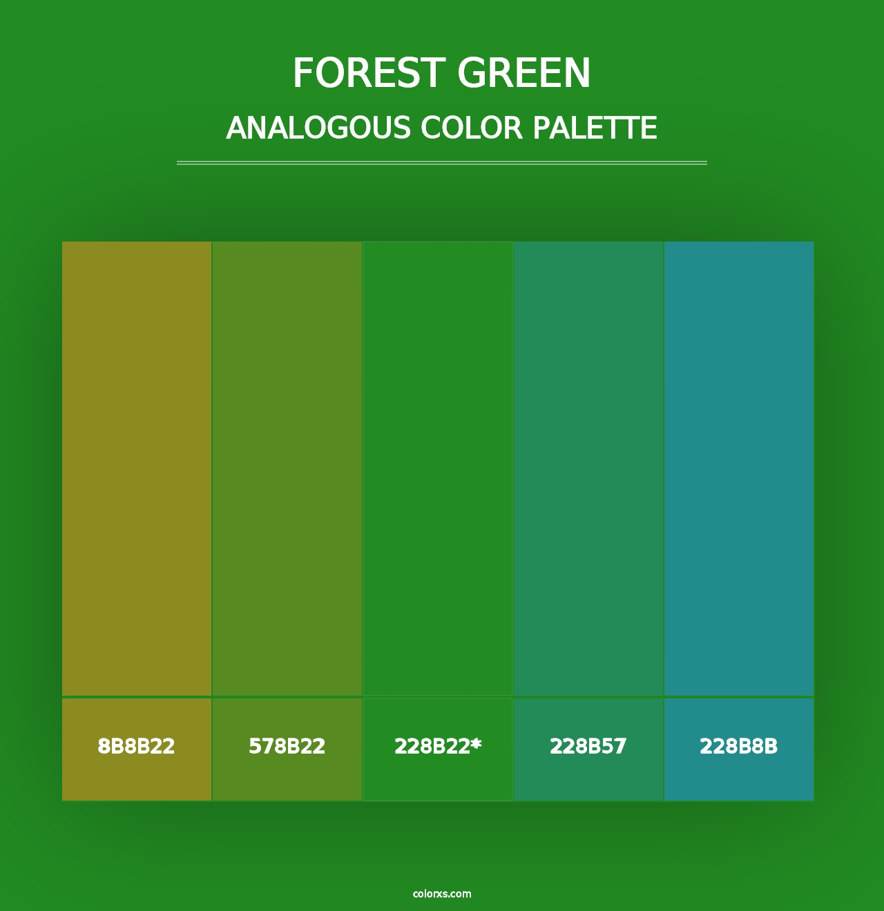 Forest green - Analogous Color Palette