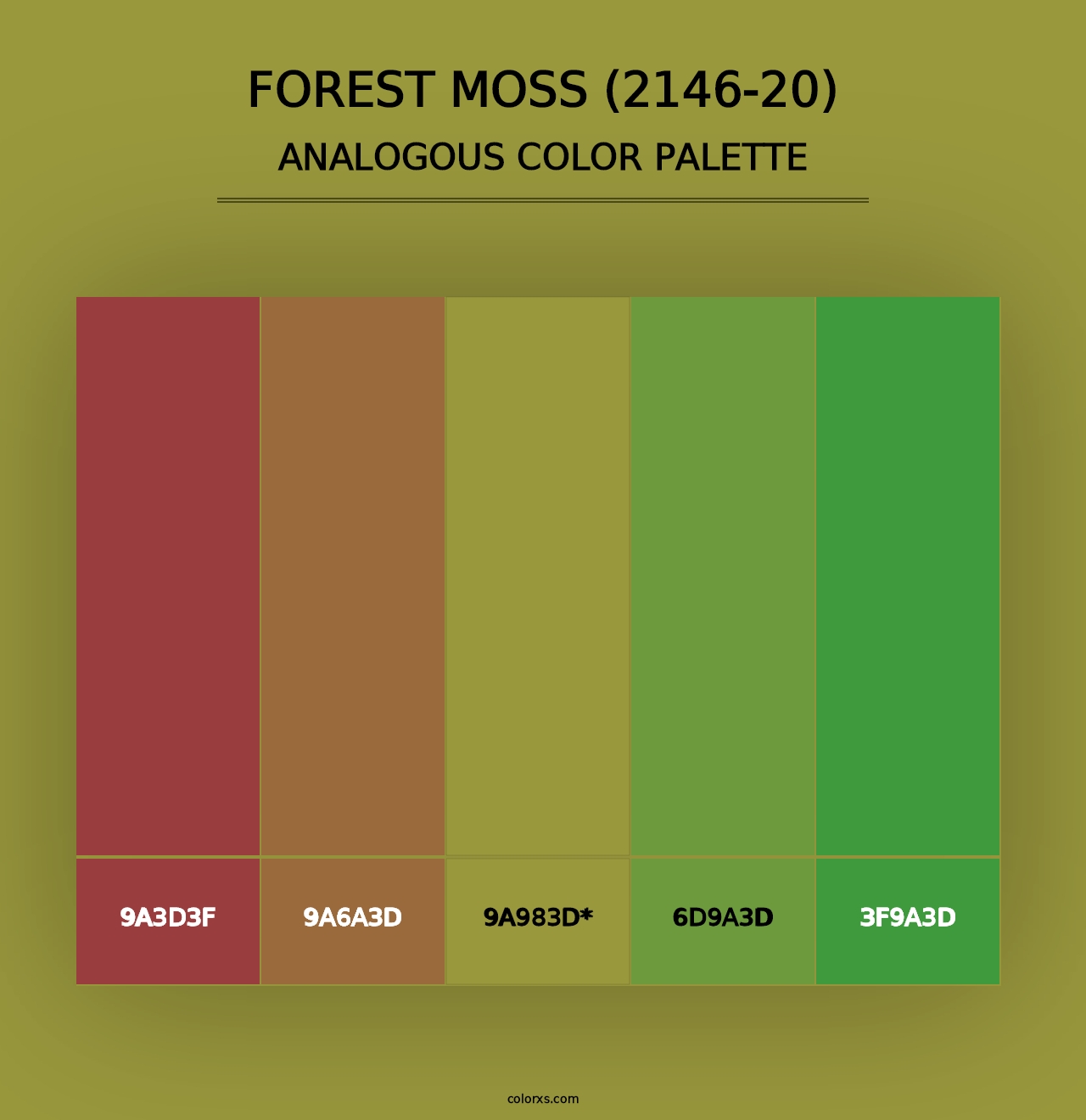 Forest Moss (2146-20) - Analogous Color Palette