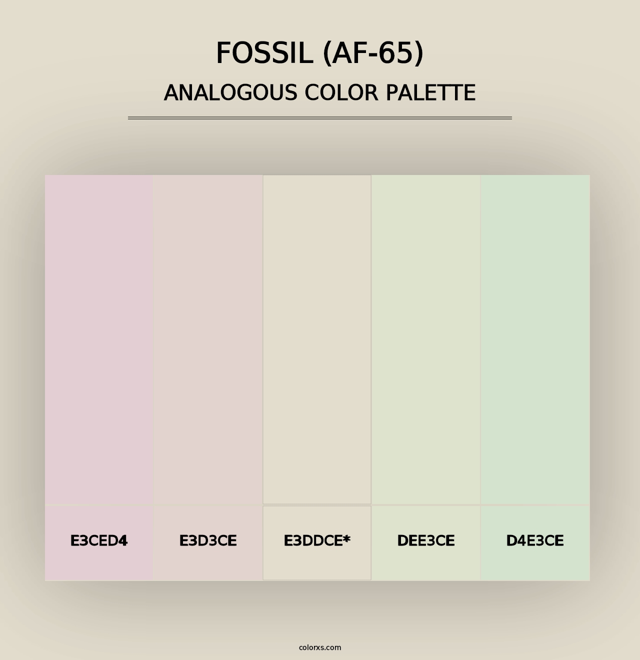 Fossil (AF-65) - Analogous Color Palette