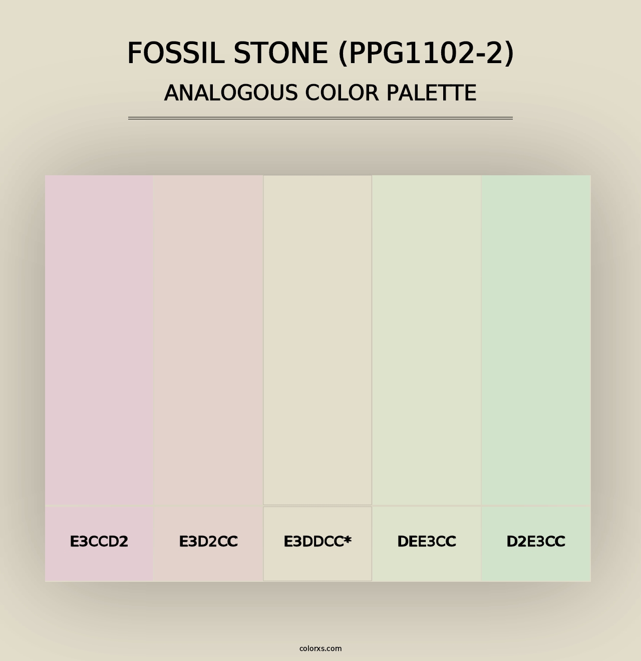 Fossil Stone (PPG1102-2) - Analogous Color Palette