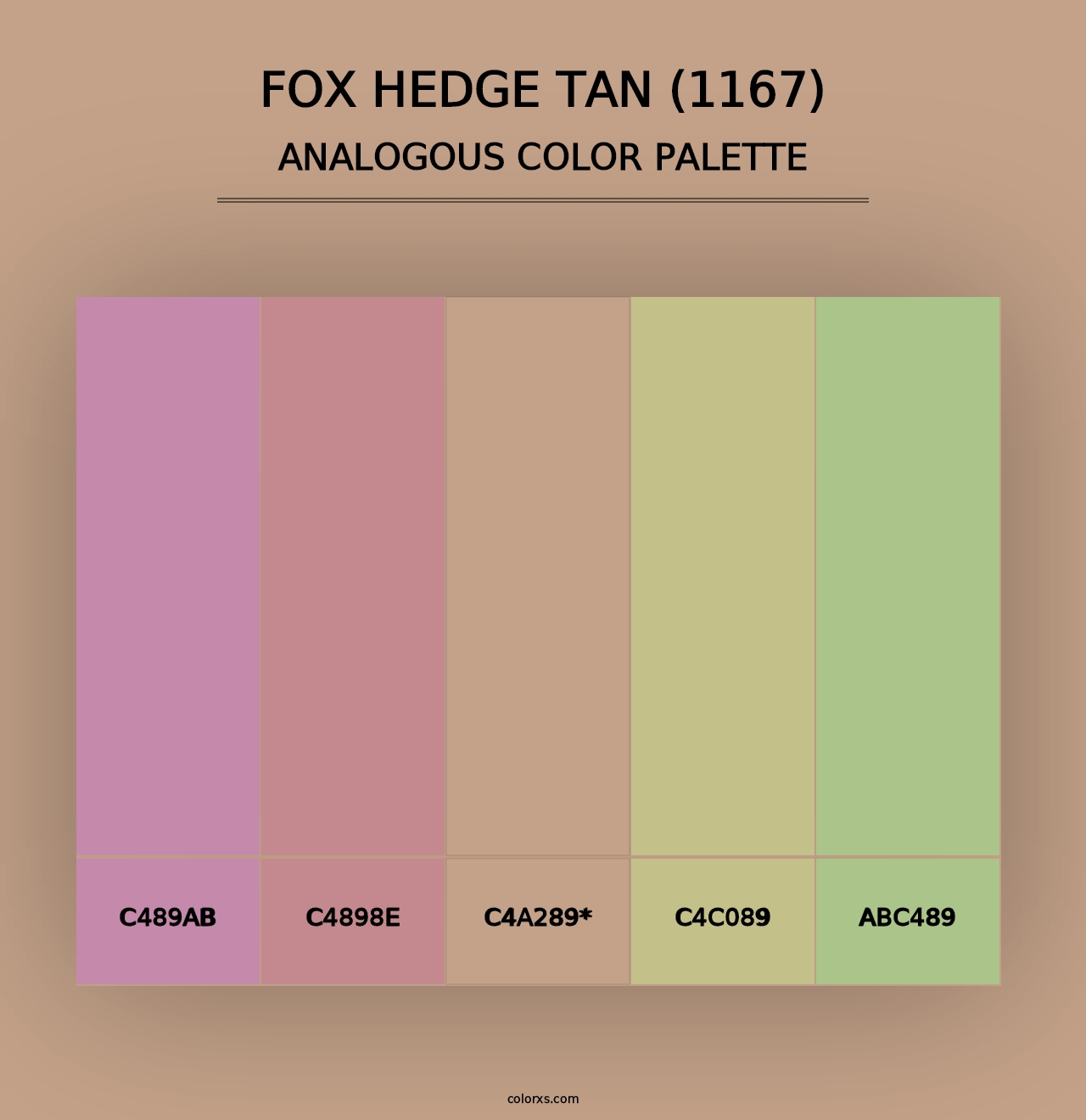 Fox Hedge Tan (1167) - Analogous Color Palette