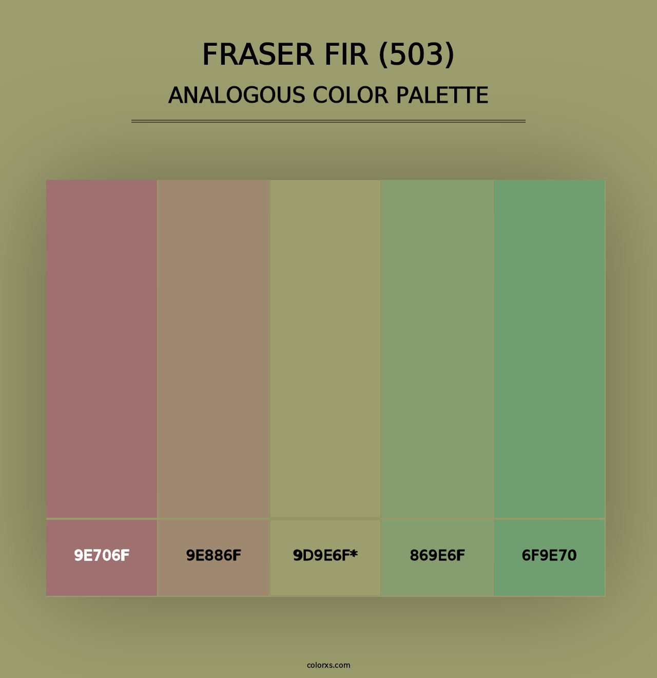 Fraser Fir (503) - Analogous Color Palette