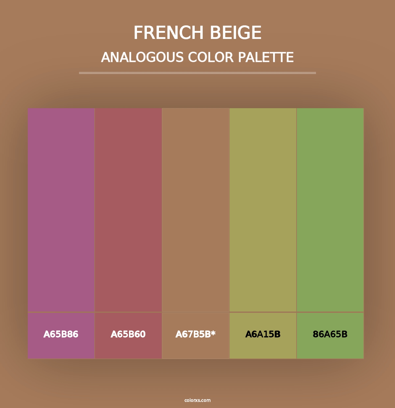 French Beige - Analogous Color Palette