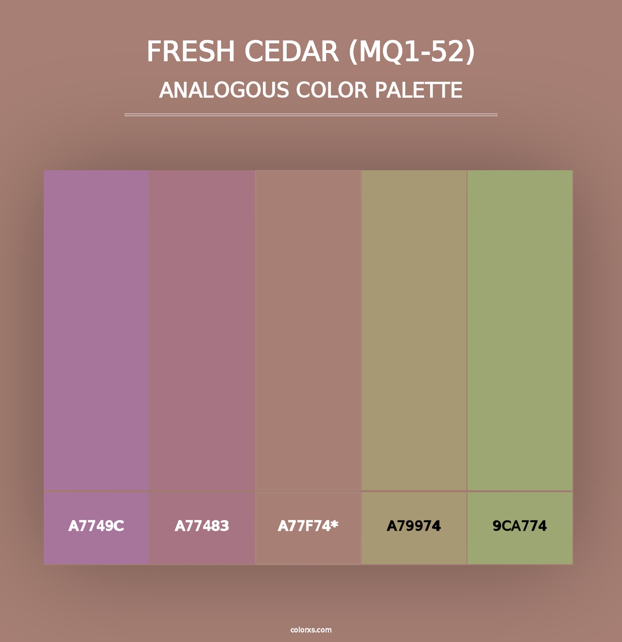 Fresh Cedar (MQ1-52) - Analogous Color Palette