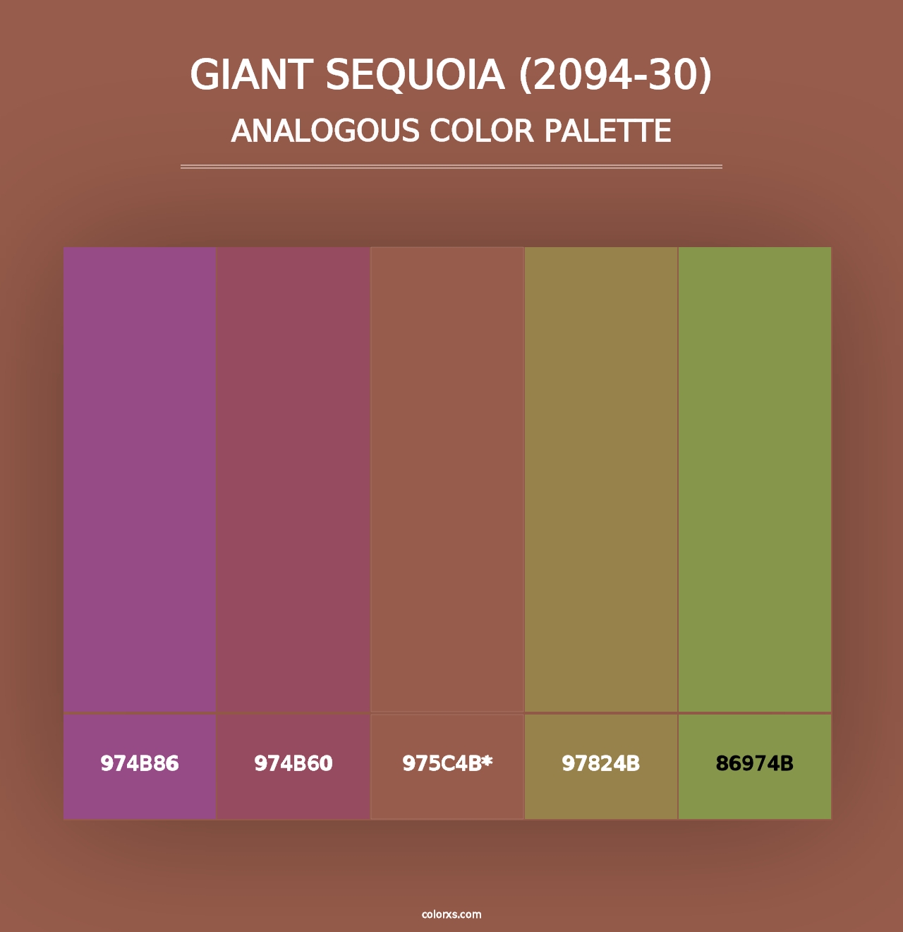 Giant Sequoia (2094-30) - Analogous Color Palette