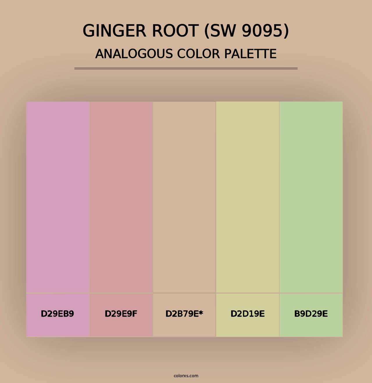 Ginger Root (SW 9095) - Analogous Color Palette