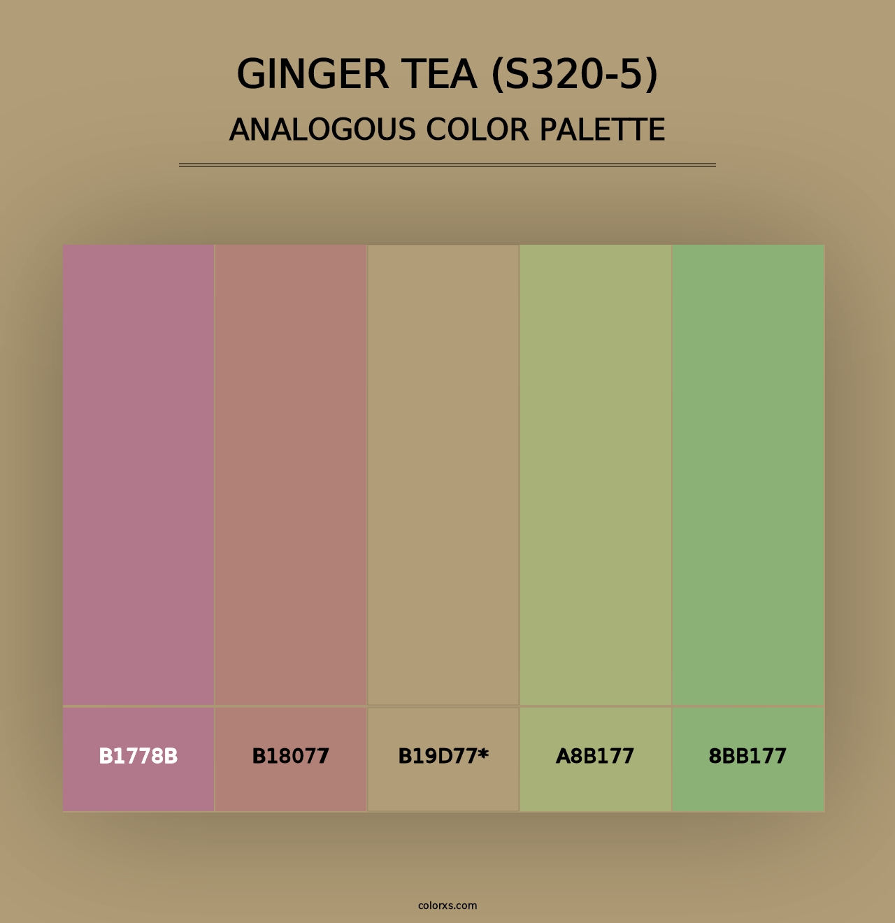 Ginger Tea (S320-5) - Analogous Color Palette