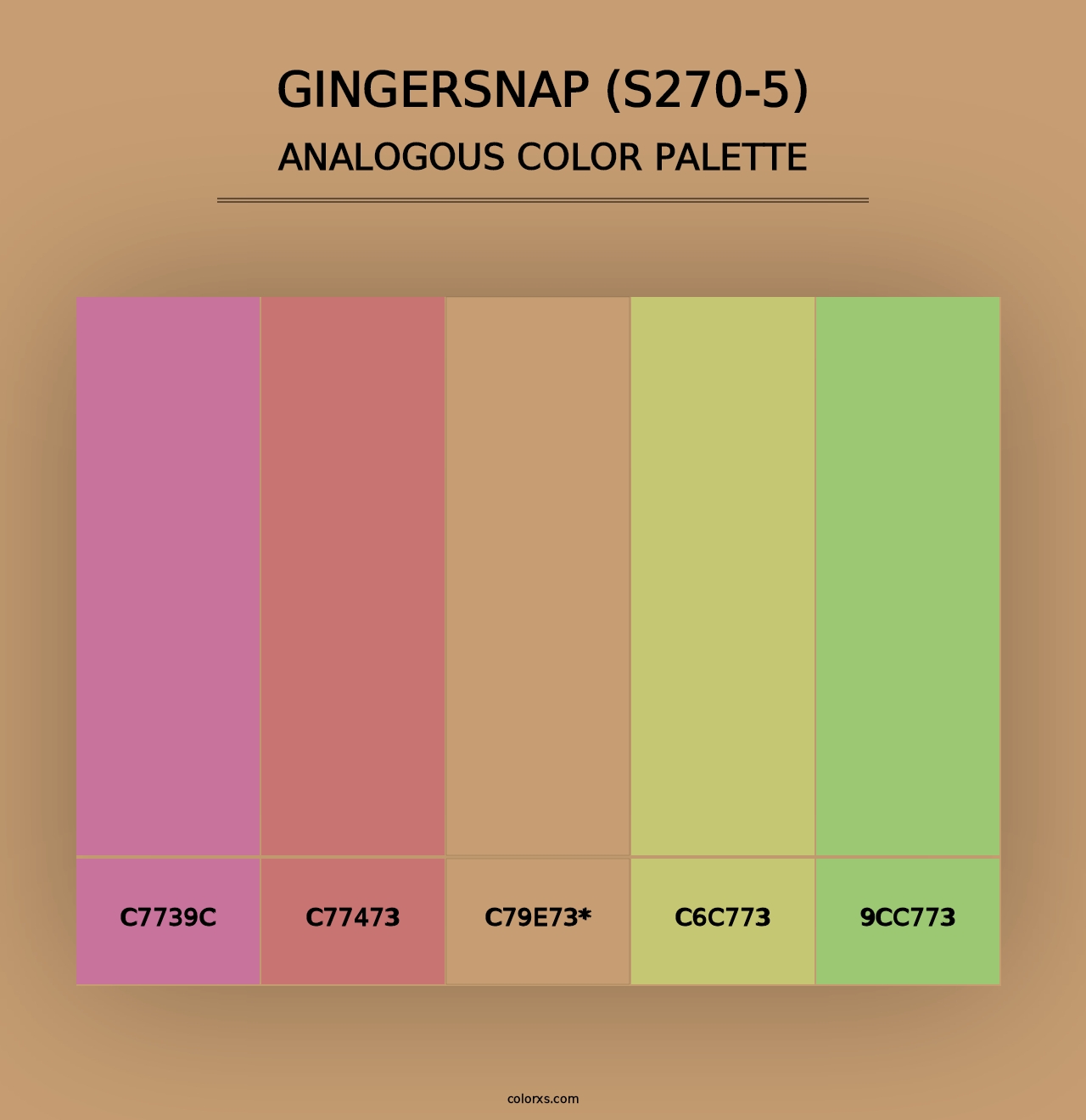 Gingersnap (S270-5) - Analogous Color Palette