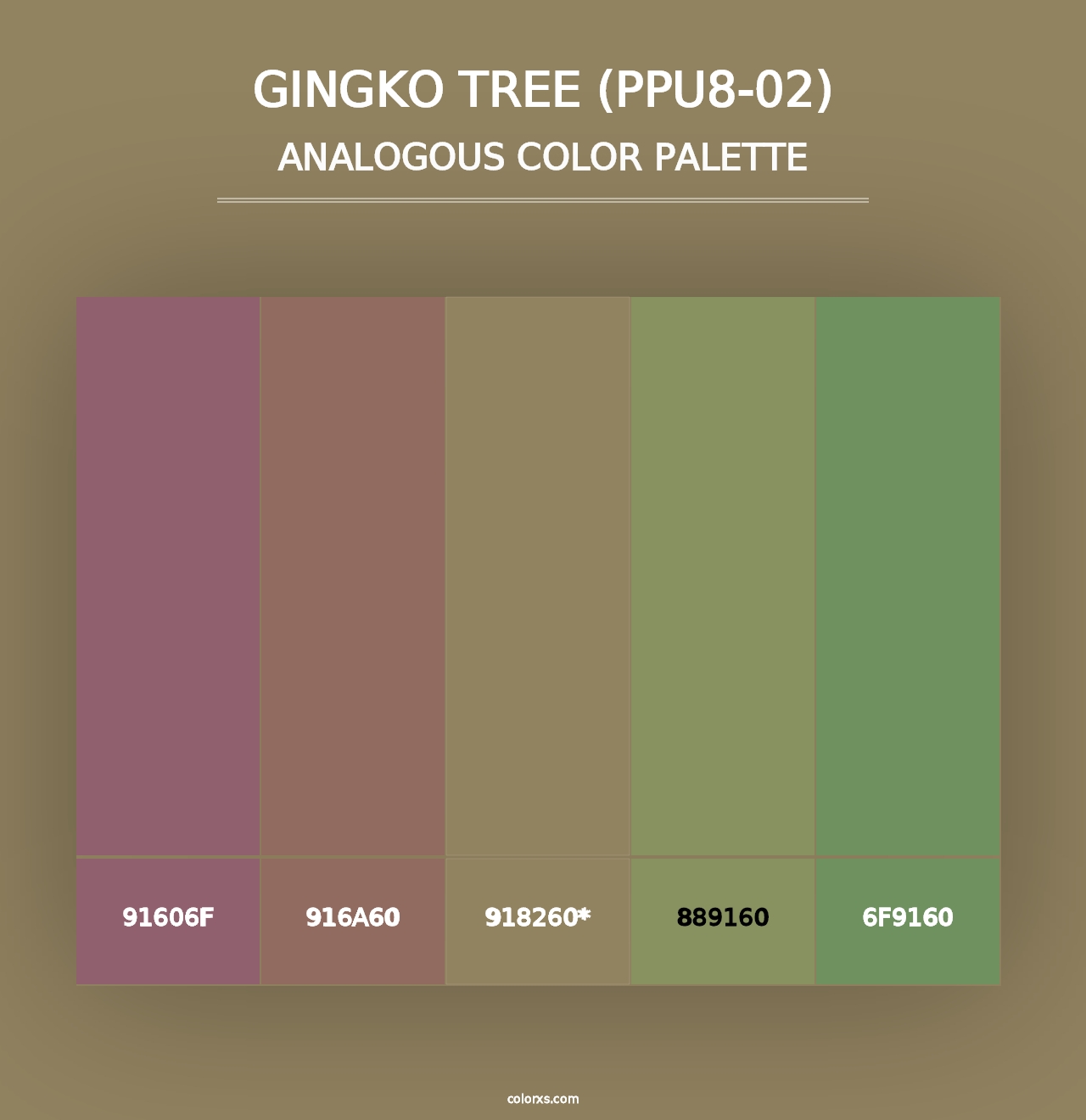 Gingko Tree (PPU8-02) - Analogous Color Palette