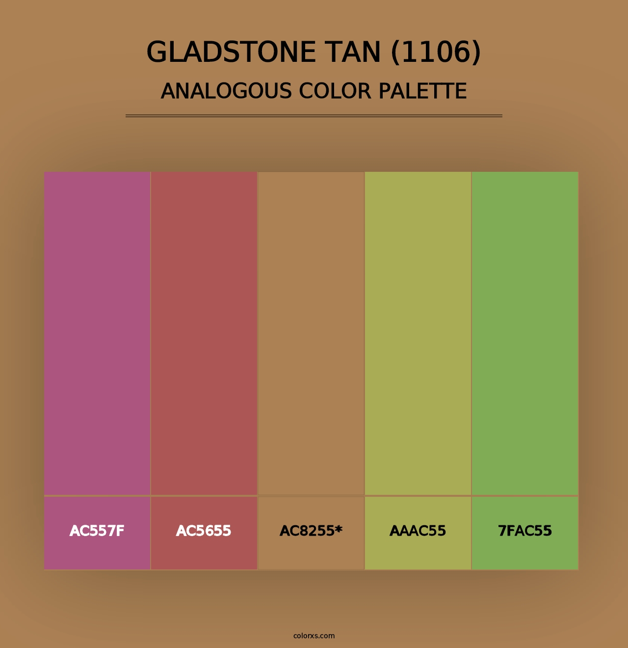 Gladstone Tan (1106) - Analogous Color Palette